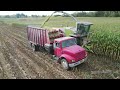 claas 830 forage harvester chopping corn silage