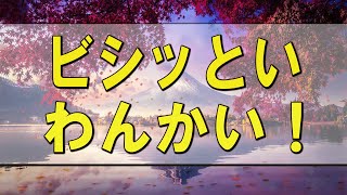 テレフォン人生相談 🌄 ビシッといわんかい！-三石由起子【テレフォン人生相談-ＴＥＬ人生相談】