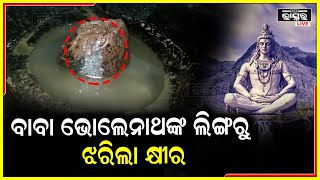 ଶିବଲିଙ୍ଗରୁ ବାହାରୁଛି କ୍ଷୀର ..ଶ୍ରାବଣ ମାସ ଆରମ୍ଭରୁ ଘଟିଲା ଅଲୌକିକ ଘଟଣା