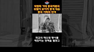 박정희 중국 거대 자본과 대결 중국 사회의 반격