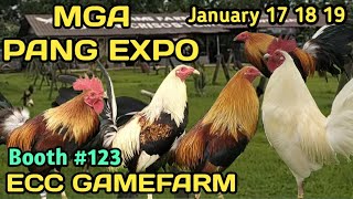 MGA PANG WORLD GAMEFOWL EXPO NG ECC GAMEFARM I JAN. 17 18 19 2025