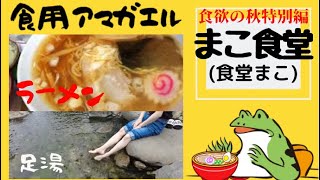 《食欲の秋特別編》秋田県湯沢市秋の宮‼️【まこ食堂(食堂まこ)】足湯を楽しみながらラーメンを出前してくれる天国みたいなところに行ってきた♨️