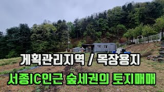 서종IC인근에 위치한 숲세권의 토지매물입니다/서종IC가 가까워 서울과 가까운 위치에 숲으로 둘러싸여있어 환경도 좋은 토지매물입니다#서종면토지 #서종ic인근토지 #양평토지