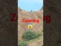 zooming zooming video high zooming short zoom zoomingtest zoomレッスン zoomshorts zoomshot