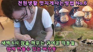 전원생활 멋지게 사는 방법No.6 [새벽 6시에 잠을 깨우는 귀여운 악동들 + 쉽게 만들수 있는 버섯등] Burser lighting きのこ照明灯