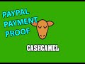 CashCamel Survey App Cash Proof | IPHONE