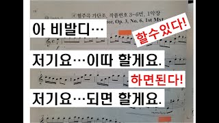 [#주부#취미#바이올린#관절염이지만괜찮아...] 스즈키 4권 비발디 협주곡 가단조, 작품번호 3-6번, 1악장 연습 영상입니다.