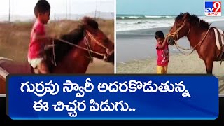 గుర్రపు స్వారీ అదరకొడుతున్న ఈ చిచ్చర పిడుగు.. - TV9