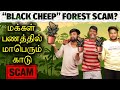 Black cheep seigai | Forest scam | Balubose & Mohan PVR | Seigai