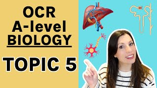 Module 5 OCR A level Biology: Nervous and hormonal response| Responses| Respiration | photosynthesis