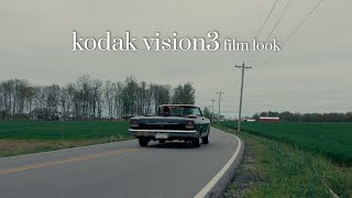 Kodak Vision3 film look (BMPCC 6k PRO)