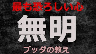 仏教で説く「無明」をわかりやすく解説する