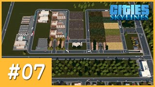 『Cities: Skylines 都市：天際線』#07：擴建農地