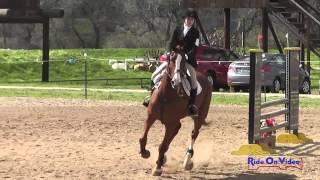 250S Katherine Hill on The Pied Piper JR Novice Show Jumping Twin Rivers Ranch Feb 2015