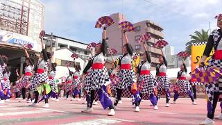 「めっちゃええやんず」安濃津よさこい2017 10/7(土)【フェニックス会場】