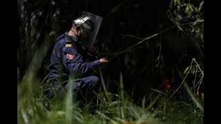 Así, integrantes del desminado humanitario arriesgan su vida para desactivar minas antipersonales