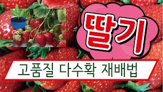 글로바이오 친환경 신한방농법 강의 \