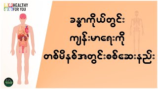 ခန္ဓာကိုယ်တွင်း ကျန်းမာရေးကို တစ်မိနစ်အတွင်း စစ်ဆေးနည်း ( Healthy For You Myanmar )