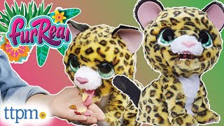 FurReal Lil' Wilds Lolly the Leopard from Hasbro Review!