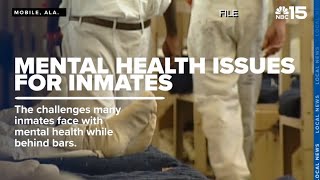 Mental health in jails; Mobile County Metro Jail administrator speaks on challenges - WPMI NBC 15