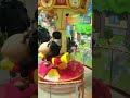 【アンパンマンミュージアム】メリーゴーランドに乗ったよ🎠