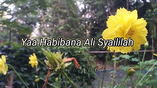 Ya habibana Ali Syaililah ||"Lirik"|| Babussalam Hadroh