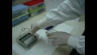 inmunohistoquimica.wmv