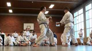 ANDRE BERTEL: DEUTSCHLAND / GERMANY KARATE SEMINAR (2012)