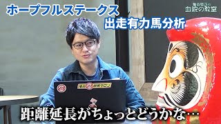 【ホープフルS】ダノンザキッド、オーソクレース、ヨーホーレイクなど出走予定有力馬を診断！/亀谷敬正