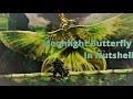 DARK SOULS Moonlight Butterfly In Nutshell