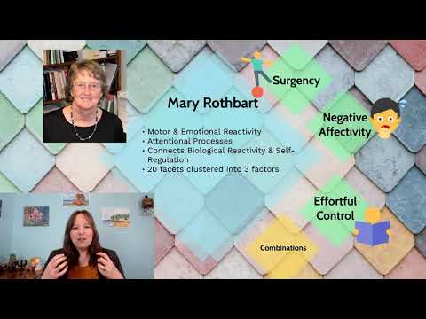 Rothbart Social Development Temperament 2 Youtube