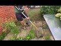 CRAZY One-Day Garden MAKEOVER  Before & After Spectacular