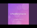 A Parallel Universe