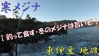 釣って食す・冬のメジナは旨いぞ！