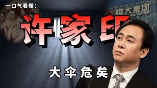 【许家印】许家印被抓：背后已有虎被打？事情远没有结束？一口气18分钟看懂许家印被抓：背后已有虎被打？事情远没有结束？一口气18分钟看懂#恒大 #恒大许家印 #恒大债务 #恒大歌舞团 #恒大老板