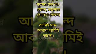 দিনশেষে এই আমি সবার চোখে এক কেউ আমাকে ভালো জানে, আবার কেউ