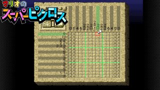 【マリオのスーパーピクロス】解説風実況プレイ＃１０【Nintendo Switch】