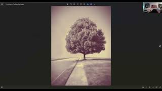 GalleryTalk "trees"