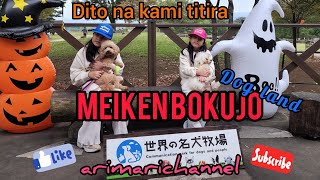 [施設紹介]かわいすぎる‼️[世界の名犬牧場]の小さな犬たち❗🇯🇵🇵🇭\