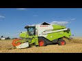 wielkie Żniwa 2019 z firmą hadam ☆ 3 kombajny na jednym polu ☆ 4 x claas lexion 650 tucano 430 320