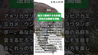 【2024年9月3日】きょうの埼玉新聞　記事はコメント欄から▶ #shorts #news