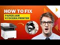 How to Fix Paper Jam Kyocera Printer? | Printer Tales