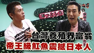 【精華版】台灣養殖界富翁！帝王級魟魚震撼日本人