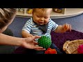 nztc early childhood study