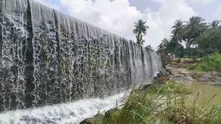 Discover the Hidden Gem: Chinnatti Waterfalls Adventure! |#hosur #hosurtouristplace #denkanikottai