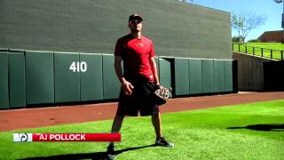 Dback to Basics: Dave McKay and AJ Pollock