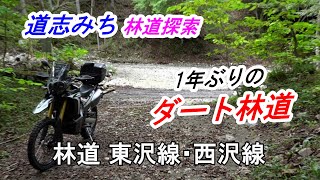 道志みち ダート林道ツーリング「林道 東沢線・西沢線」【CRF250 RALLY】