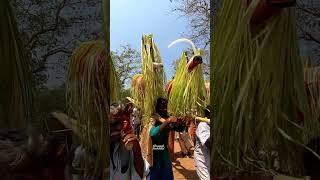 kuthirakali ponjanam bagavathy temple kuthirakali kodungaloor kavettam dharikan kali thrissur pooram