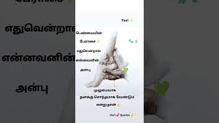 அன்பு ஒன்றே நிரந்தரம்