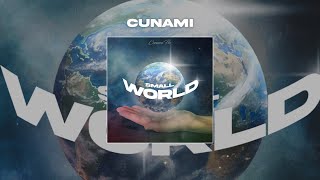 Cunami - Small world